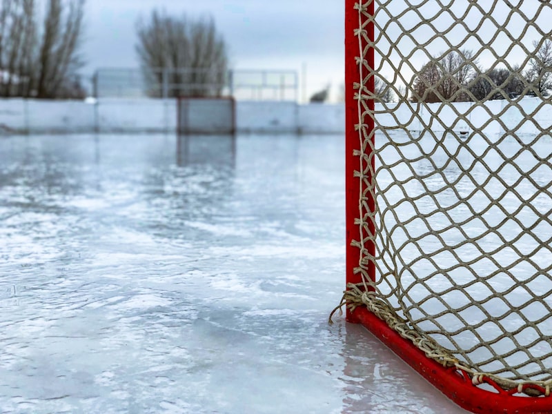 Detroit Red Wings hockey